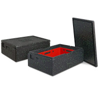 2x EPP Bac thermique, LxlxH 685x485x220 mm, 42 litres, anthracite/vert